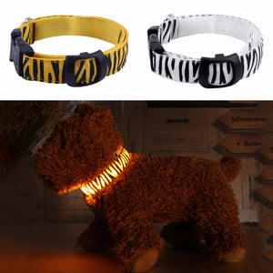 LED Dog Collar USB Rechargeable