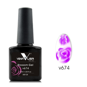 Venalisa 12 Color Nail Art Beauty